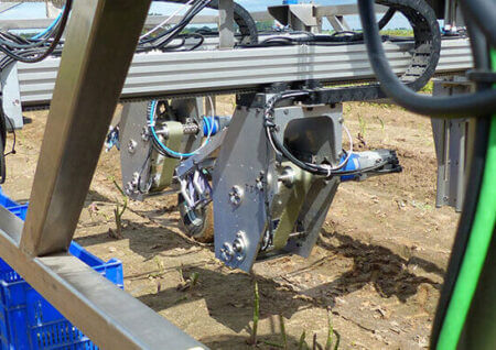 HepcoMotion - 收割机器人可以使绿芦笋更便宜