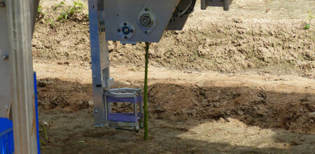 HepcoMotion - 收割机器人可以使绿芦笋更便宜