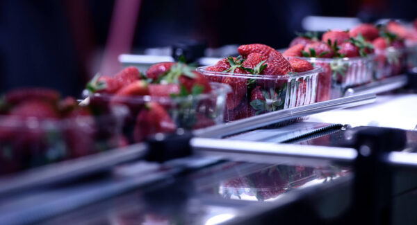 HepcoMotion - 食品饮料加工与包装